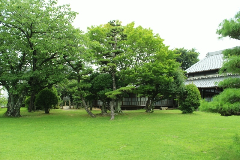 茶和や香（４８）、六鹿茶遊会（３7）_b0220318_23572138.jpg