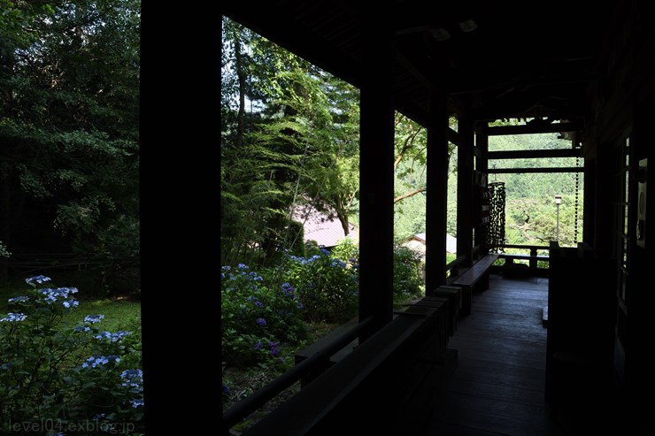 秩父札所30番 法雲寺 ～紫陽花～_d0319222_921114.jpg