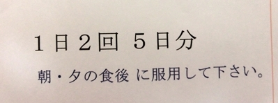 病院嫌いが病院へ行きました_a0105023_2365779.jpg