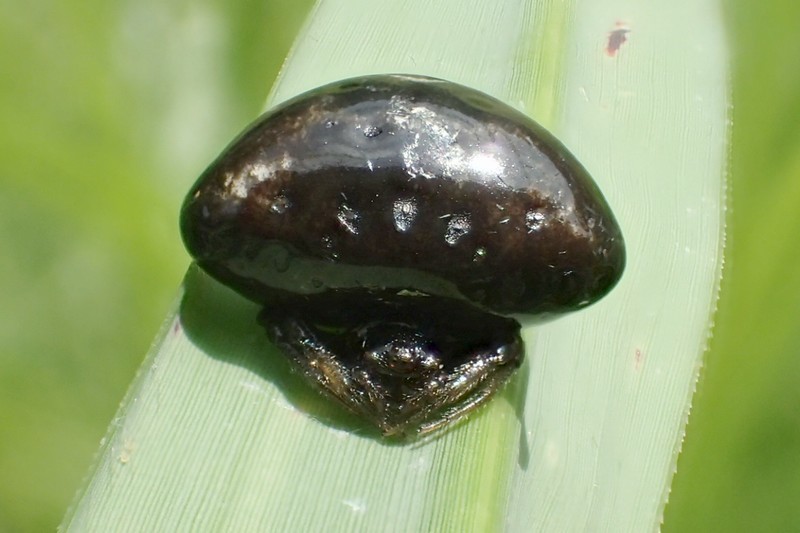 c0369423_12450814.jpg