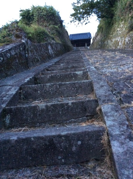 d0349130_20110264.jpeg