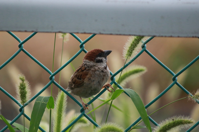 【豊海運動公園のもっと先】_f0348831_21274537.jpg