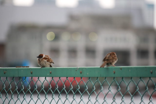 【豊海運動公園のもっと先】_f0348831_21274863.jpg