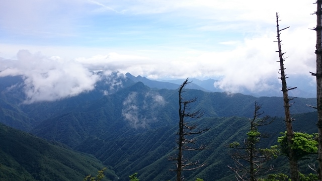 b0148050_1736990.jpg