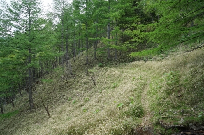 時空を超える山行＠黒金山　2016.06.03(金)_f0344554_22152147.jpg