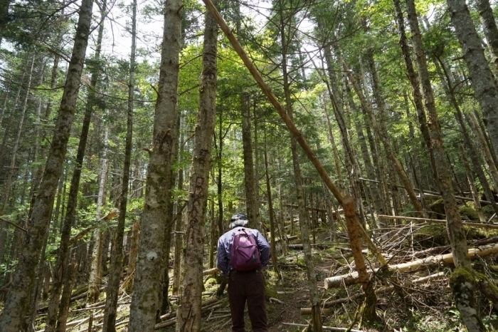 時空を超える山行＠黒金山　2016.06.03(金)_f0344554_22154306.jpg