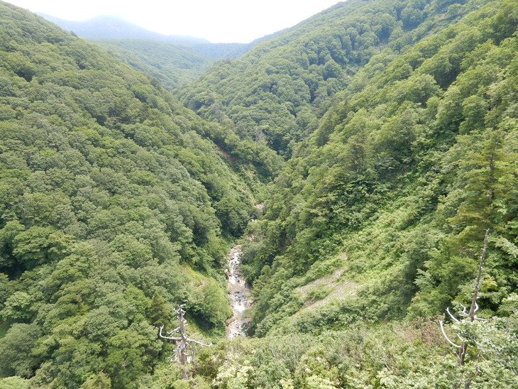’16,7,12(火)東北旅レポ最終日!_f0060461_1083350.jpg
