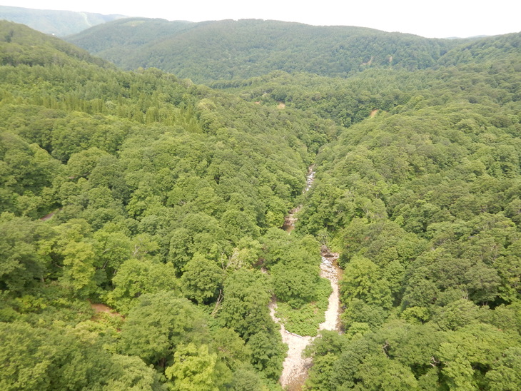 ’16,7,12(火)東北旅レポ最終日!_f0060461_109155.jpg