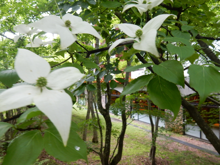 ’１６，７，１２（火）東北旅レポ最終日！_f0060461_9502448.jpg