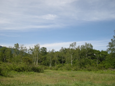 d0226767_22323579.jpg