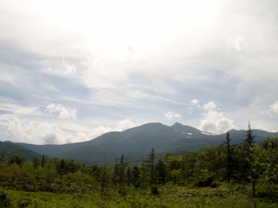 d0226767_2235910.jpg