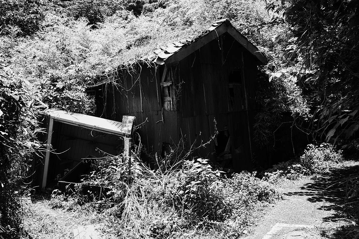 e0341968_19280999.jpg