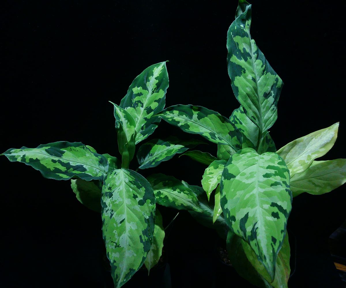 d0249970_23134726.jpg