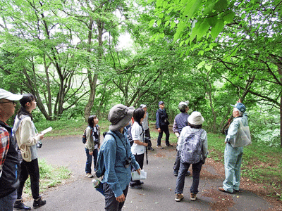 県民の森野鳥クラブ　～ぶらり野鳥散策の旅～_f0140773_1124454.gif