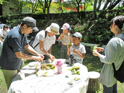 県民の森竹クラフト講座　6月26日きなこ笹巻きづくりと竹笛いろいろ_f0140773_13254927.gif