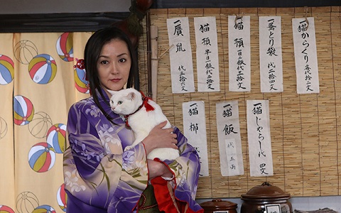 猫侍シーズン2 Amazon.co.jp: ドラマ版 猫侍 SEASON2を観る | Prime Video