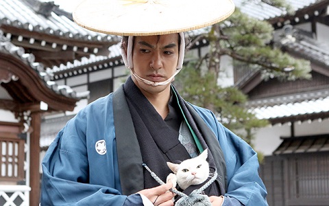 猫侍シーズン2 猫侍 シーズン2 - ドラマ情報・レビュー・評価・あらすじ・動画