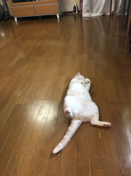 c0240976_13381427.jpeg