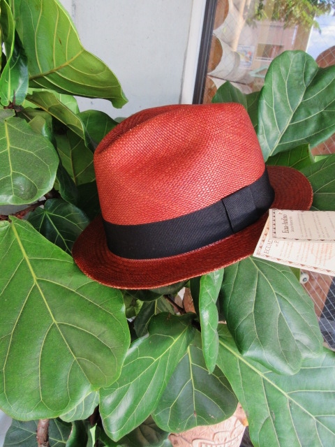 EQUA Andino ･･･ Panama HAT　全3型・揃いました♪♪♪_d0152280_739074.jpg