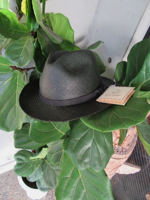 EQUA Andino ･･･ Panama HAT　全3型・揃いました♪♪♪_d0152280_7401668.jpg