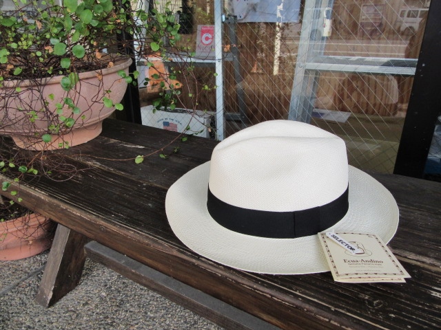 EQUA Andino ･･･ Panama HAT　全3型・揃いました♪♪♪_d0152280_740384.jpg