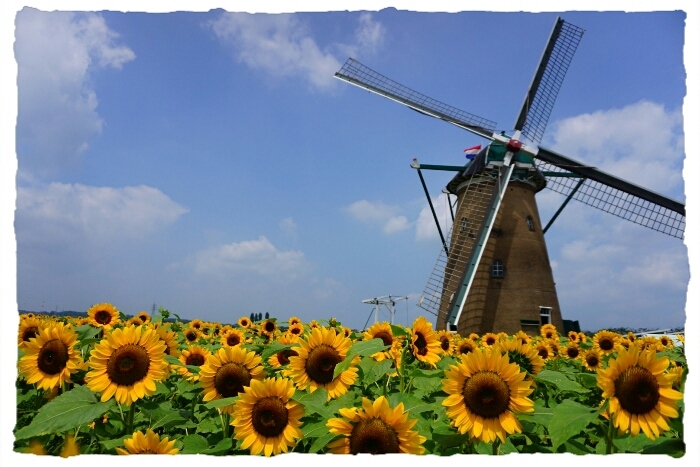 d0341483_17164982.jpg