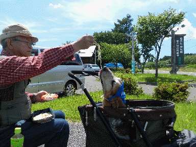 f0205887_1054785.gif