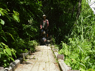 f0205887_1059523.gif