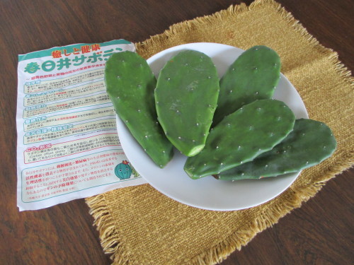 食用サボテン 春日井ノパル はなみずきによせて