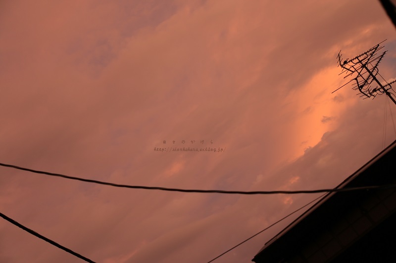 c0358500_22422866.jpg