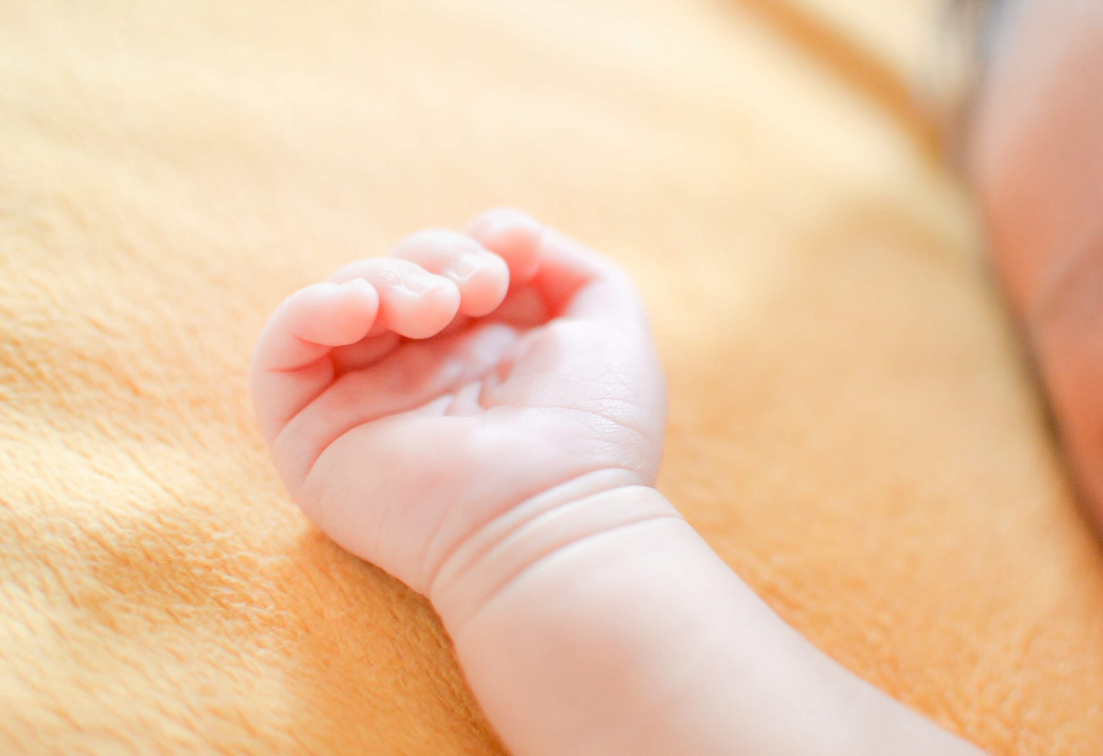 生理中 妊娠中はカラーリングをしてはいけないの Palmstage 髪のお悩み 頭皮の環境をととのえる麹町サロン 生理中 妊娠中はカラーリングをしてはいけないの Palmstage 髪のお悩み 頭皮の環境をととのえる麹町サロン