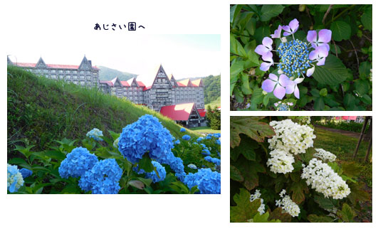白馬へ(1日目)_c0051105_1138962.jpg