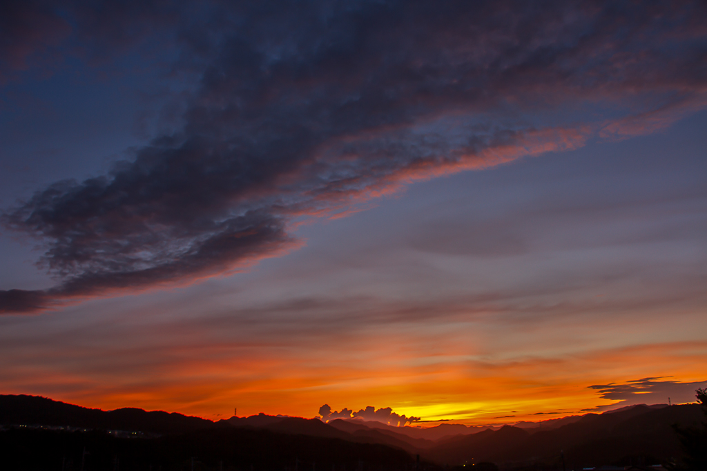 b0010915_20125646.jpg