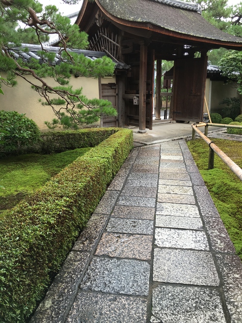 洛北の苔寺、龍源院_a0197730_2357426.jpg