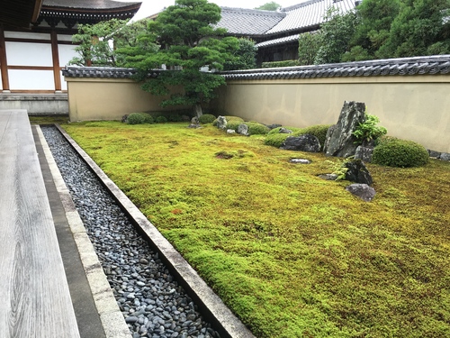 洛北の苔寺、龍源院_a0197730_23584688.jpg