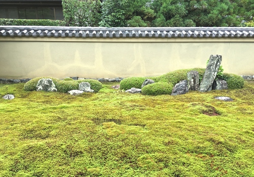 洛北の苔寺、龍源院_a0197730_23585736.jpg