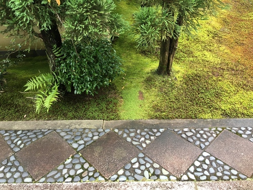 洛北の苔寺、龍源院_a0197730_2359217.jpg