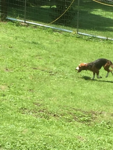 b0369239_12493674.jpeg