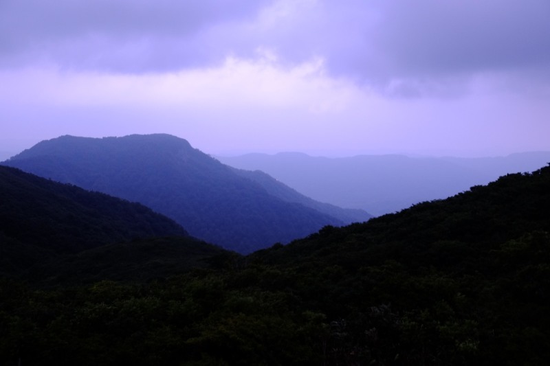 d0347140_07541393.jpg