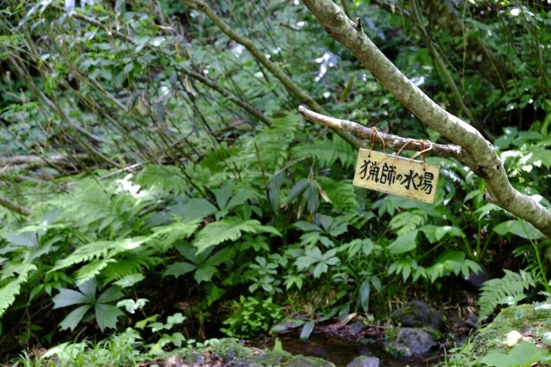 d0347140_07583563.jpg