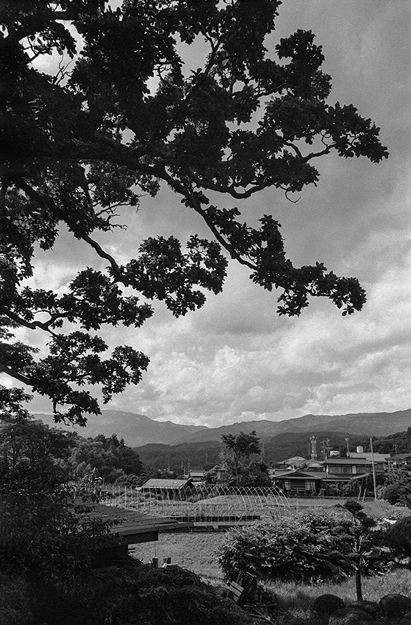 c0035245_20460251.jpg