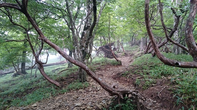 b0148050_845117.jpg