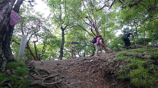 b0148050_8453616.jpg