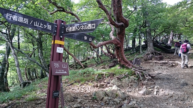 b0148050_846065.jpg