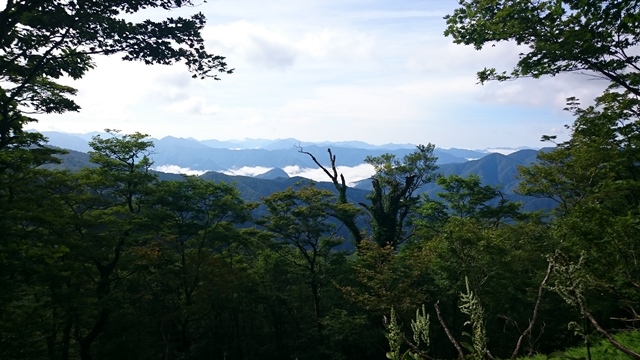 b0148050_8472977.jpg