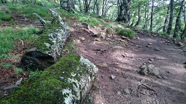 b0148050_8482081.jpg