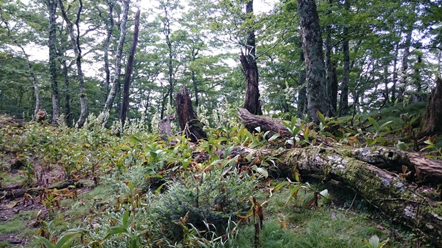 b0148050_848362.jpg