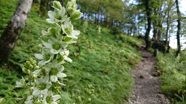 b0148050_8491647.jpg