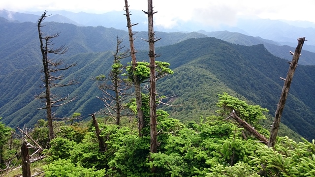 b0148050_8503735.jpg