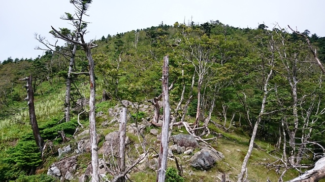 b0148050_8504641.jpg